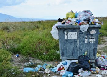 Pubblicato il D.P.C.M. 23/12/2020 con il quale viene sostituito il MUD per l’anno 2021 relativo alle movimentazioni 2020