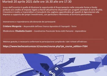 20/04/2021 Webinar gratuito: “Bandi Nazionali, Regionali e Camerali: Opportunità di Finanziamento per le Imprese Piemontesi”