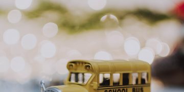 Pubblicato il Decreto legge che estende l’uso del certificato verde